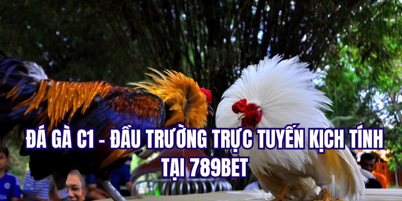 Đá Gà C1 - Đấu Trường Trực Tuyến Sôi Động Nhất Việt Nam