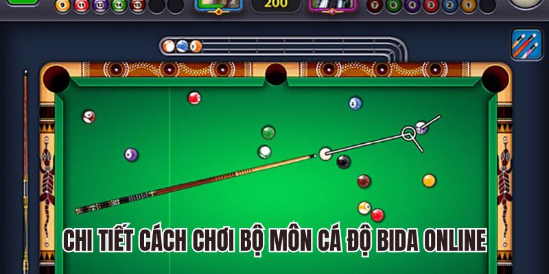 Chi tiết cách chơi bộ môn cá độ Bida online