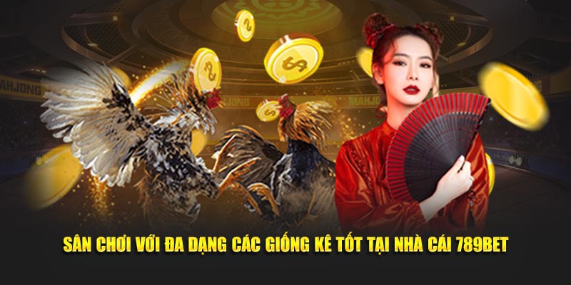 Sân chơi với đa dạng các “võ sĩ” tốt tại nhà cái 789BET