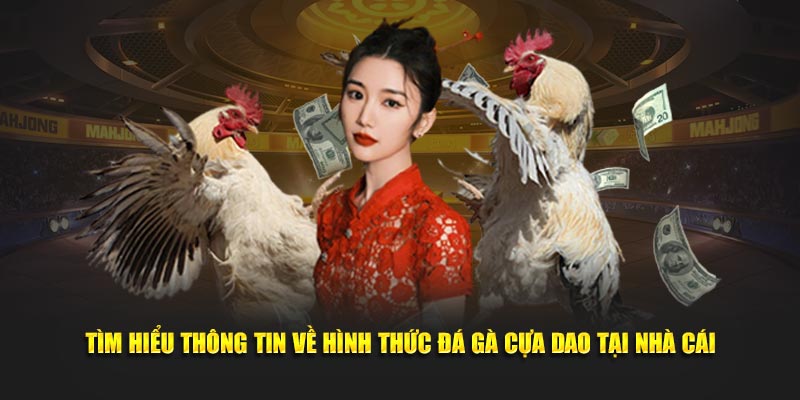 Tìm hiểu thông tin về hình thức giải trí thú vị tại nhà cái